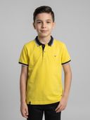 Yellow color option, Currently selected