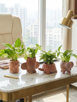 Swadeh - Desk Planters (Pack of 4)