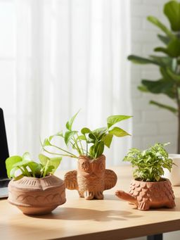 Swadeh - Desk Bloom Trio Planters (Pack of 3)