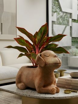 Swadeh - Playful Dog Shape Planters