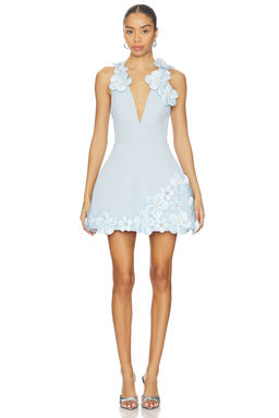 Bronx and Banco - Estelle Floral V-neck Mini Dress