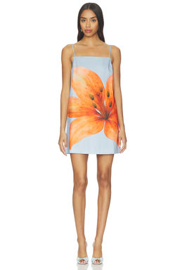 Line & Dot - Avah Mini Dress