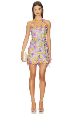 Patbo - Tulle Pina Embroidered Mini Dress