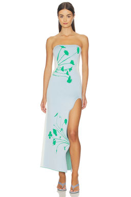 PH5 - Iris Flower Print Maxi Tank Dress