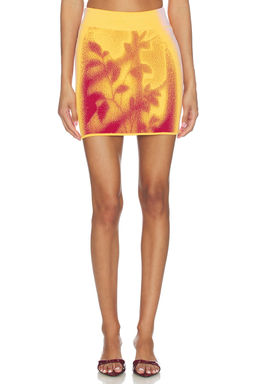 PH5 - Alani Window Print Mini Skirt