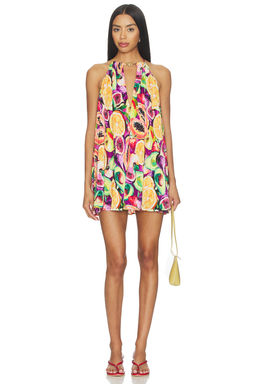 Show Me Your Mumu - Lucille Mini Dress