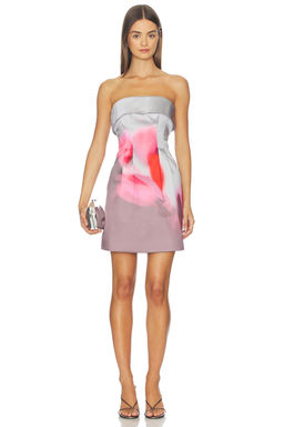 AMUR - Zelie Mini Dress