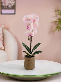 UMAI - Real Touch Potted Orchid with Cement Pot