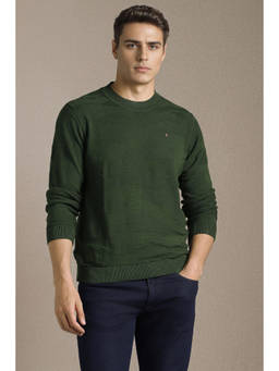 Louis Philippe - Men Olive Solid Round Neck Full Sleeves Sweater