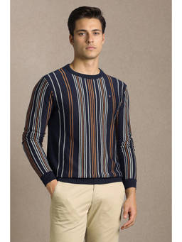 Louis Philippe - Men Navy Striped Round Neck Full Sleeves Sweater