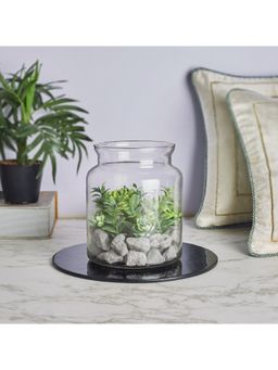 HomeTown - Fleur Glass Terranium 19 Cm in Green Colour