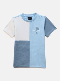 Blue Giraffe - Boys Blue Colorblock Crew Neck Regular Fit T-Shirt
