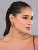 Brown color option, Currently selected