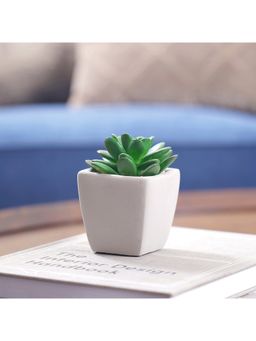 Pure Home + Living - Potted Green Cactus (Set of 2)