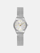 Silver color option, Currently selected