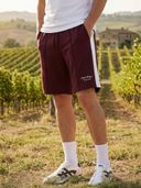 Maroon color option, Currently selected