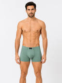 Green color option