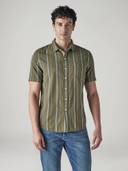 Olive color option, Currently selected
