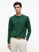 Green color option, Currently selected