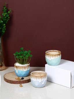 Tayhaa - Glazed Elegance Ceramic Planter