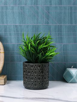 Tayhaa - Black Engraved Designer Planter