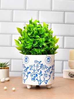Tayhaa - Botanical Bliss Ceramic Planter