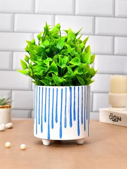 Tayhaa - Handcrafted Ceramic Planter