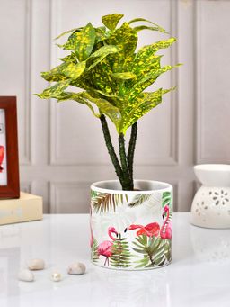 Tayhaa - Colorful Flamingo Hue Ceramic Planter