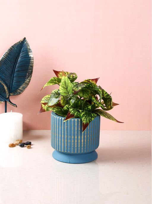 Tayhaa Midnight Blue Ribbed Planter