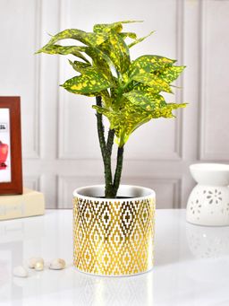 Tayhaa - Golden Royale Ceramic Planter