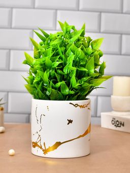 Tayhaa - White Royale Ceramic Planter