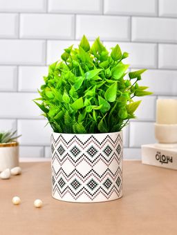 Tayhaa - Modern Indoor Ceramic Planter