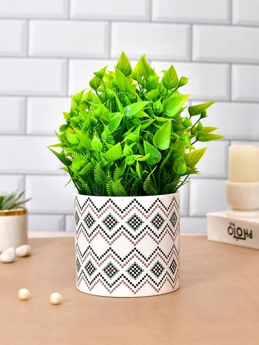 Tayhaa Modern Indoor Ceramic Planter