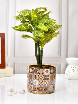 Tayhaa - Gold Moroccan Planter