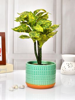 Tayhaa - Green Striped and Orange Ceramic Planter