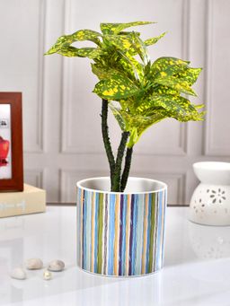 Tayhaa - Multi Thick Lines Ceramic Planter