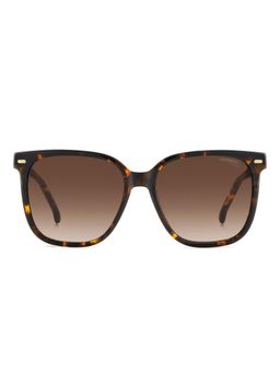 CARRERA - Womens Brown Shaded Lens Havana Non Polarized Square Sunglasses (55)
