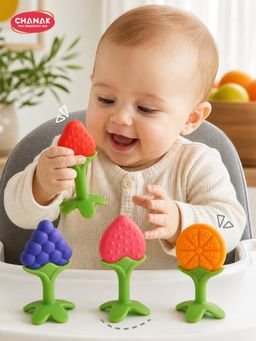 Chanak - Baby Silicone Fruit Teether for Toddlers