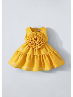 Hopscotch - 3D Rose Applique Dress