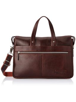 Tortoise - Basilio The Messenger - Brown