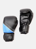 Blue color option, Currently selected