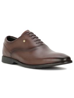 Hush Puppies - Men Lace-Up Formal Brown Oxfords