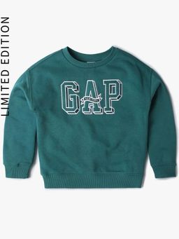 GAP - Boys Green Knitted Crew Neck Sweatshirt