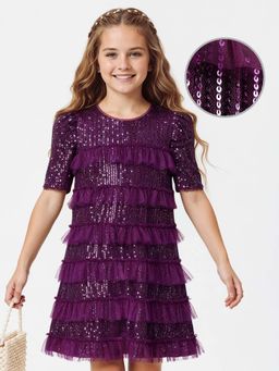 Hola Bonita - Knee Length Half Sleeves Sequinned Dress