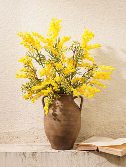 Pure Home + Living - Brown Terracotta Earthen Vase