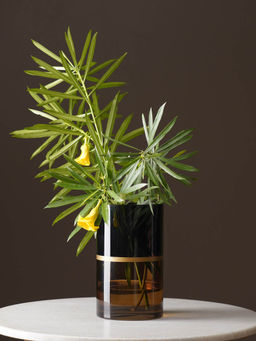 Pure Home + Living - Brown & Black Two Tone Cylindrical Glass Vase