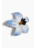 Blue color option, Sold out