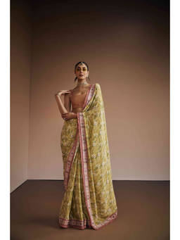 THE ROYALEUM ATELIER - Sage Green Thread Work Pre Drape Saree with Stitched