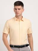 Mustard color option, Currently selected