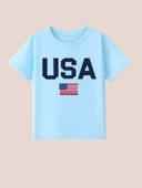 Blue color option, Currently selected